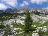 Koča pri Savici - The lake Rjavo jezero